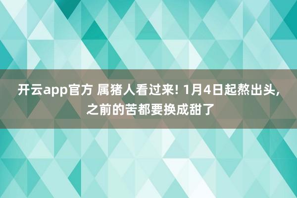 开云app官方 属猪人看过来! 1月4日起熬出头， 之前的苦都要换成甜了