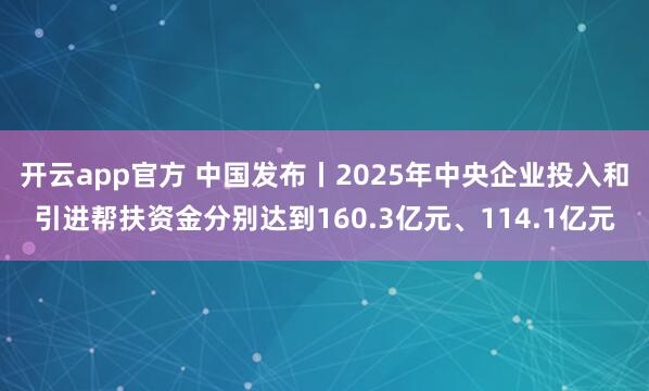 开云app官方 中国发布丨2025年中央企业投入和引进帮扶资金分别达到160.3亿元、114.1亿元